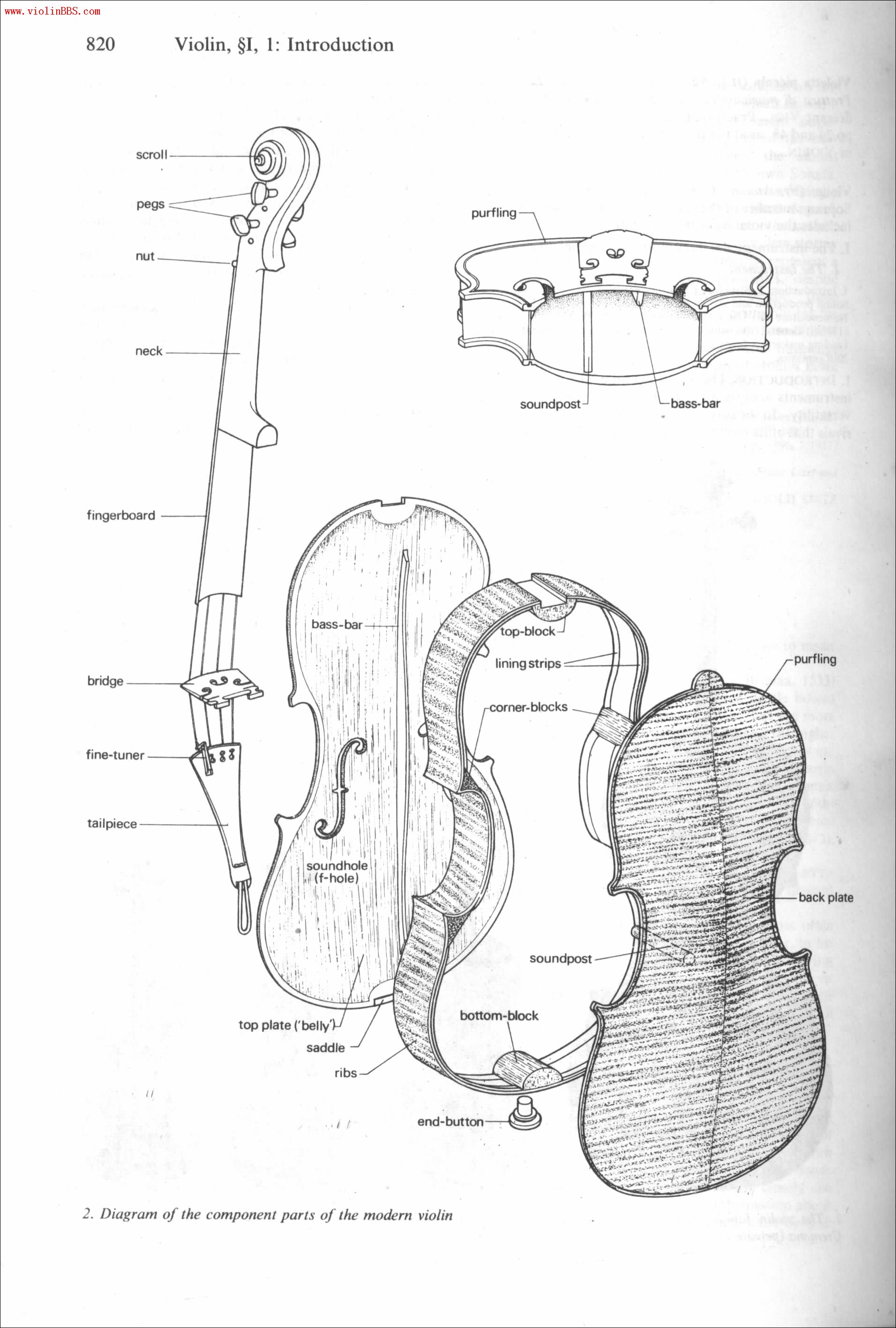 小提各部件与英语称谓