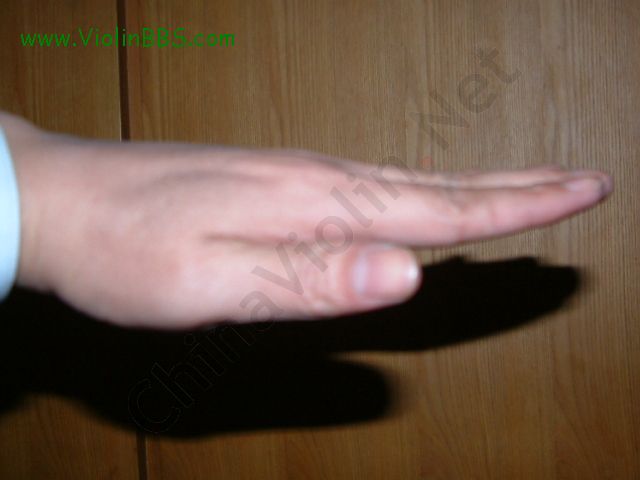 2005-12/2005121302218105.jpg
