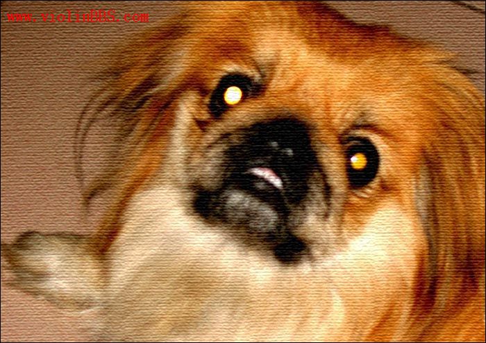 2005-3/2005325212338420.jpg