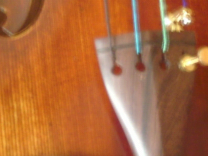 2005-7/2005720225135273.gif