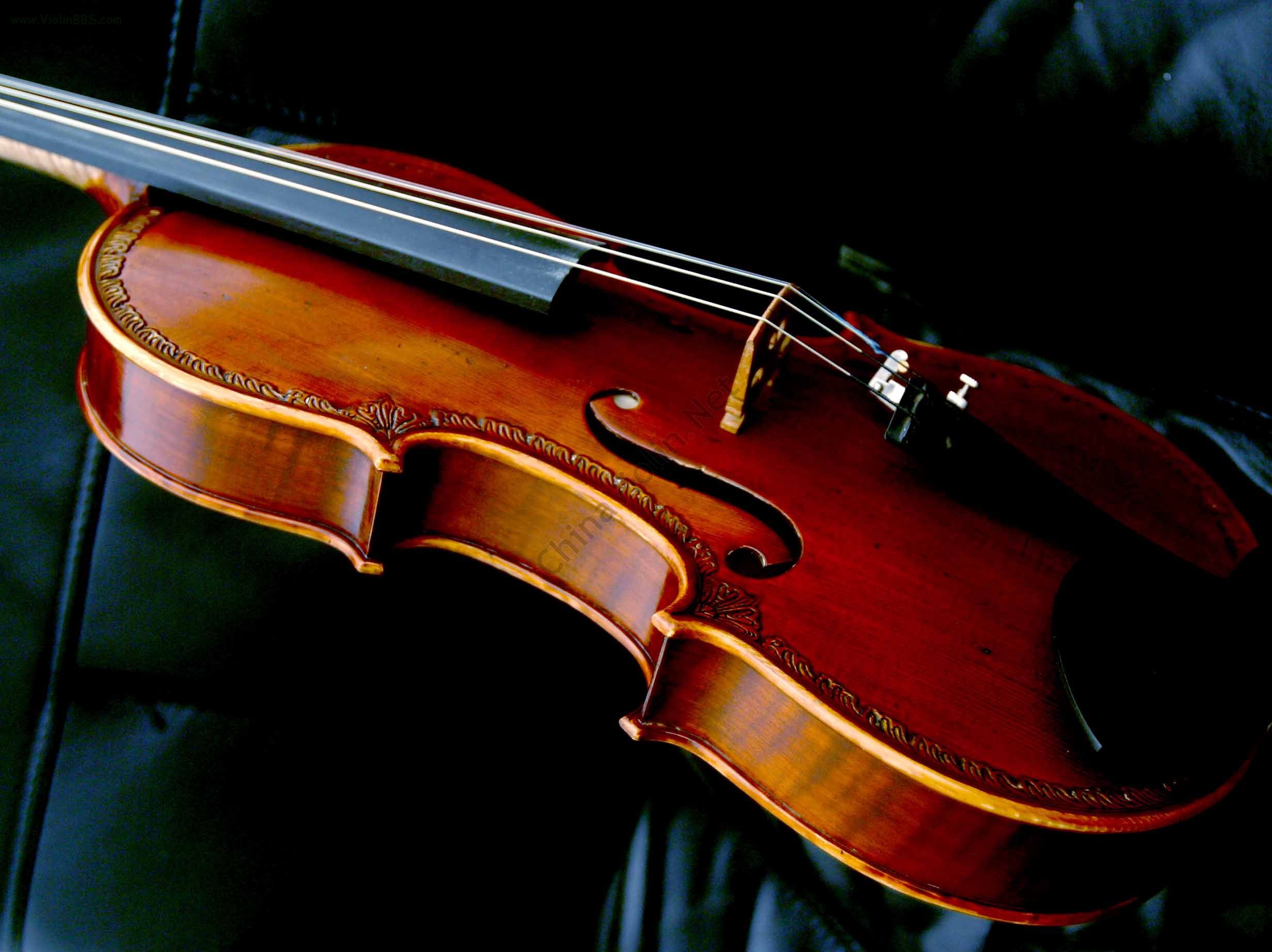 2005-8/20058171746830.jpg