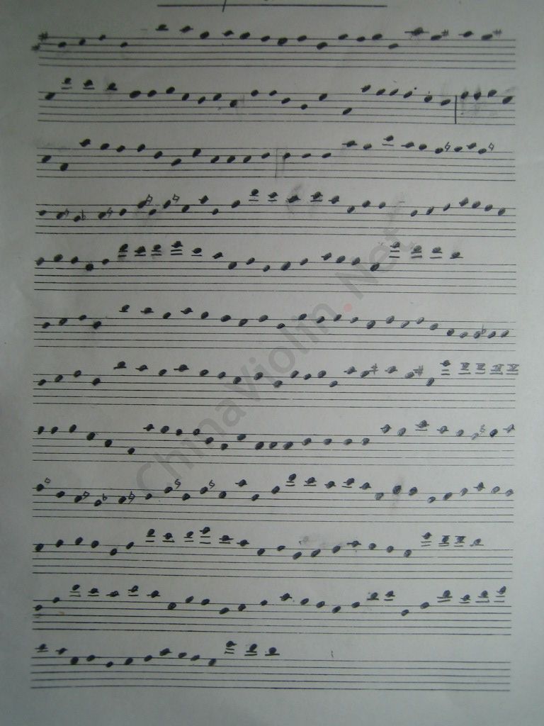2005-8/20058192284078.jpg