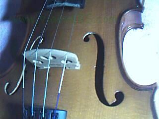 2006-10/20061014215527825.jpg