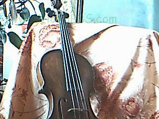 2006-2/2006215155329768.jpg