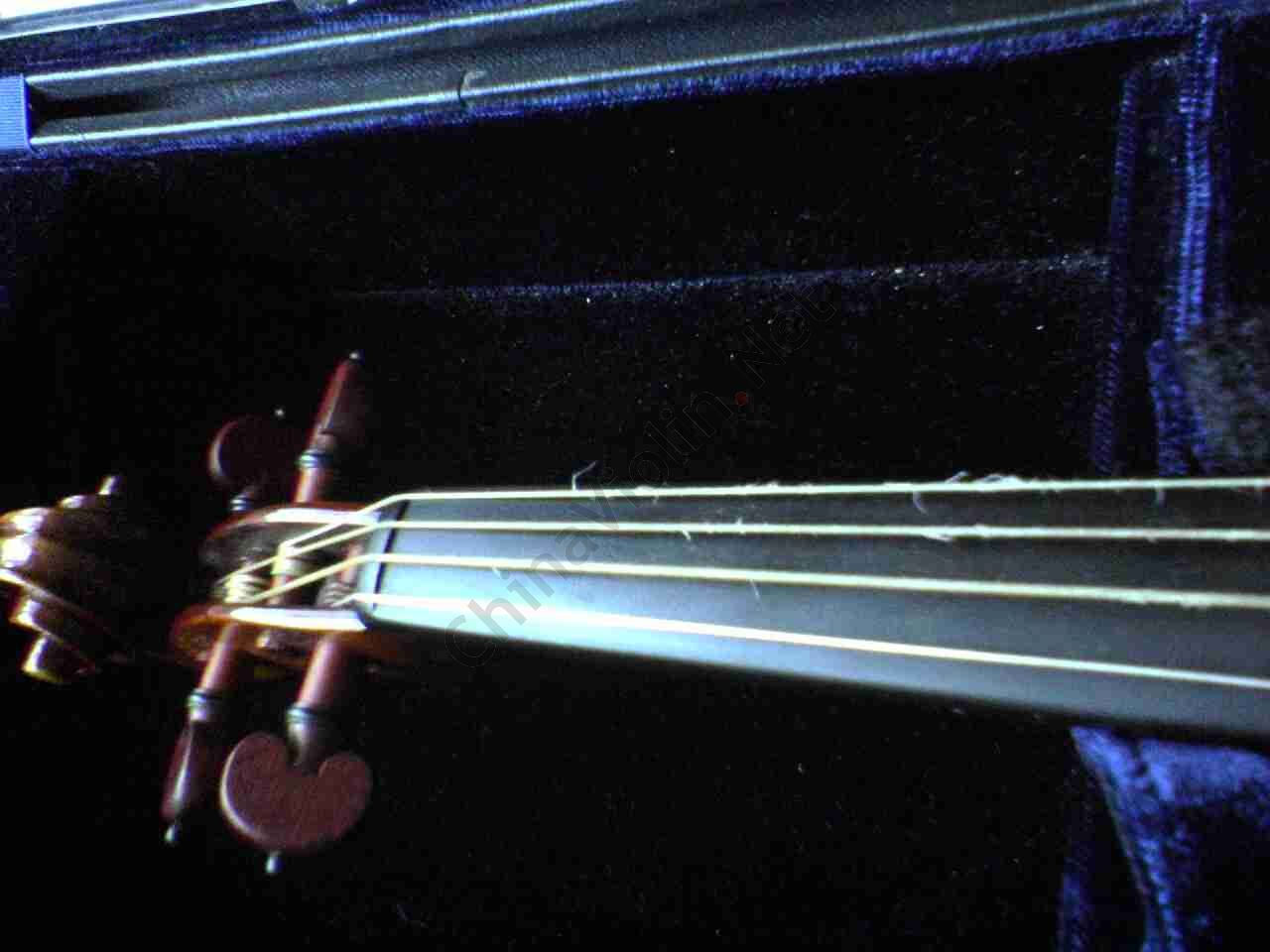2006-5/2006516231728766.jpg
