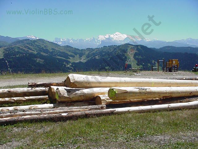 2006-5/200652693236623.jpg