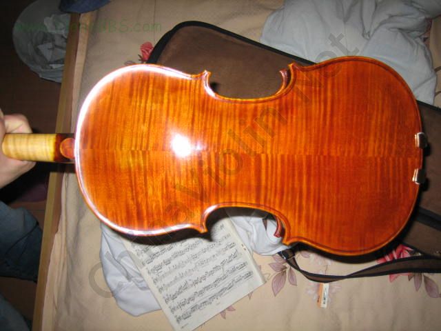 2006-5/20065521437894.jpg