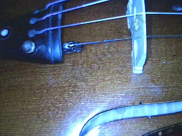 2006-6/200662819324230.jpg