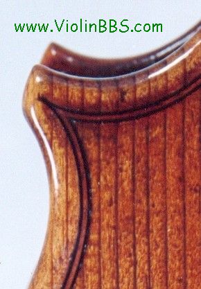 镶线蜂尖的风格与识别