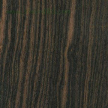 2006-7/20067317130780.jpg