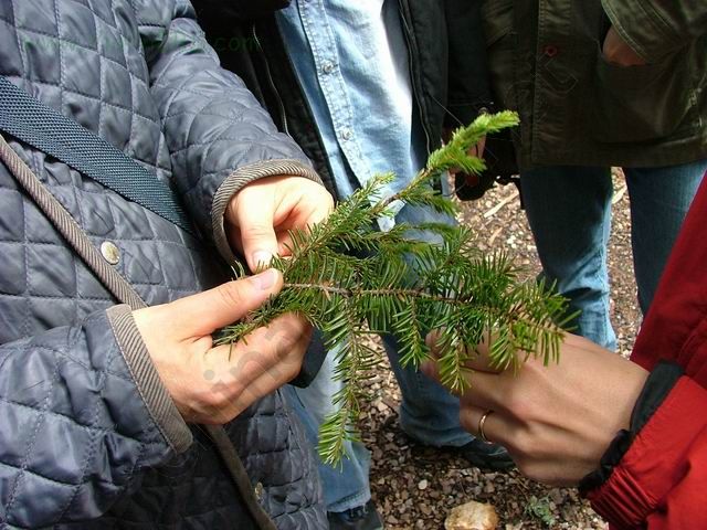 2006-7/200676163144863.jpg