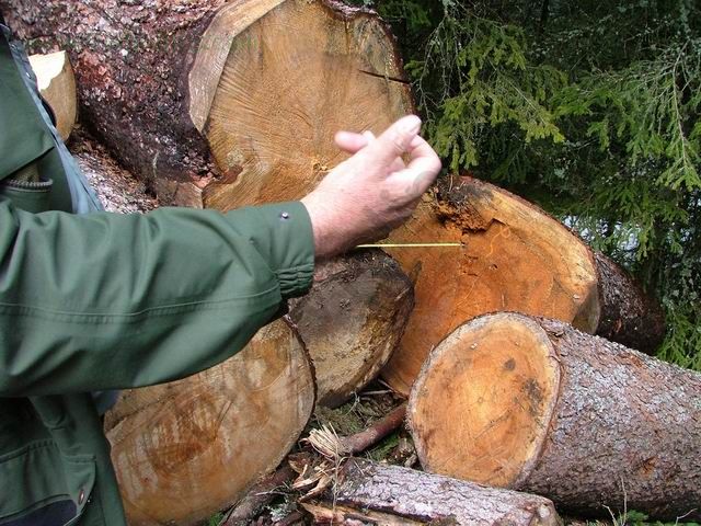 2006-7/200676163223762.jpg
