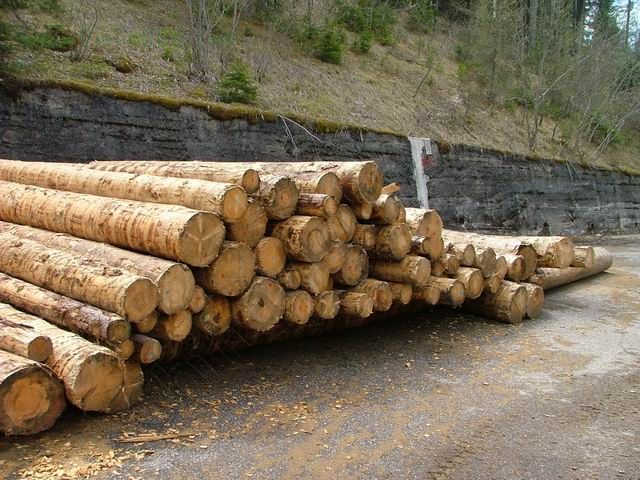 2006-7/200676163412677.jpg