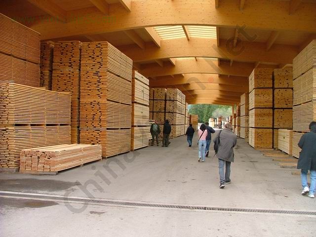 意大利著名林场Vale di Fiemme的私人图片．