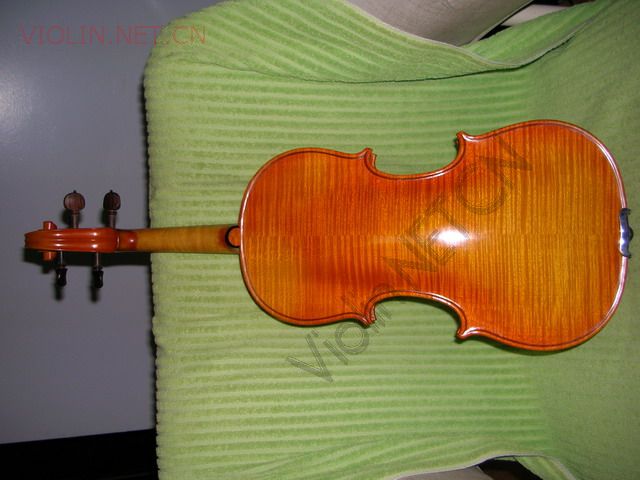 2007-1/20071492932332.jpg