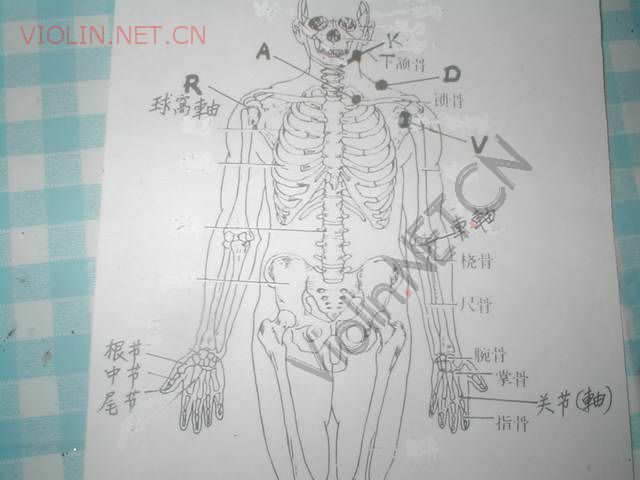 2007-12/2007121893641645.jpg