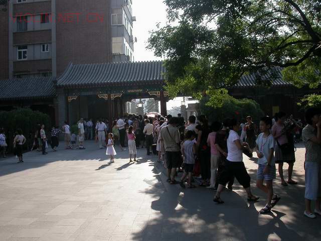 2007-8/20078179162544.jpg