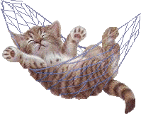 2007-8/2007827144052625.gif