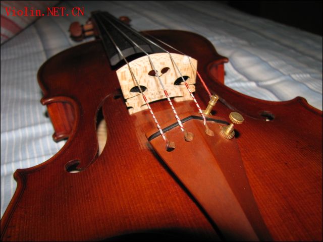 2008-10/20081021163141645.jpg