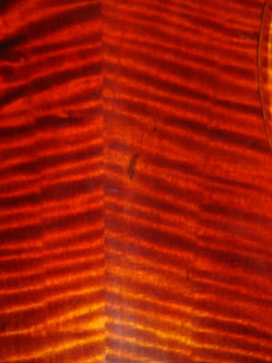 2008-2/200821994032859.jpg