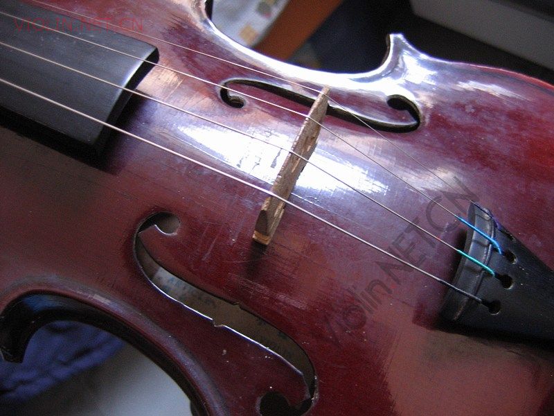 2008-2/2008252214264.jpg