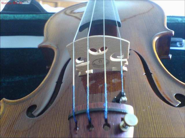 2008-4/2008425165514154.jpg