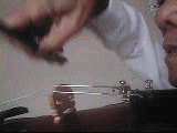 2008-4/20084894339808.gif