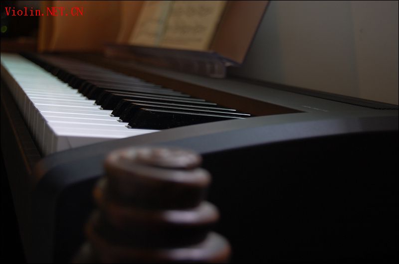 新买的钢琴，拍照留念。