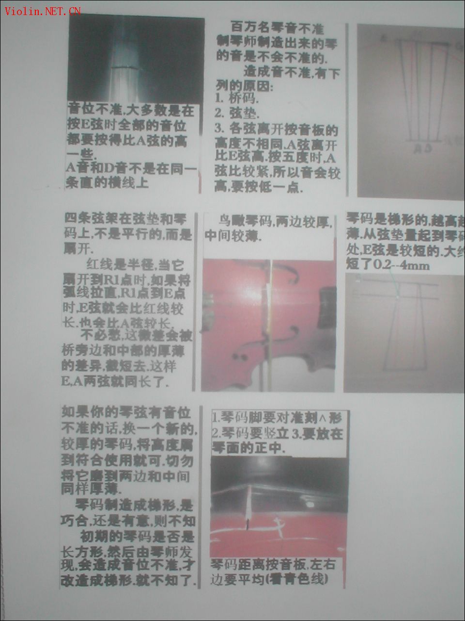 2008-8/200883113338151.jpg