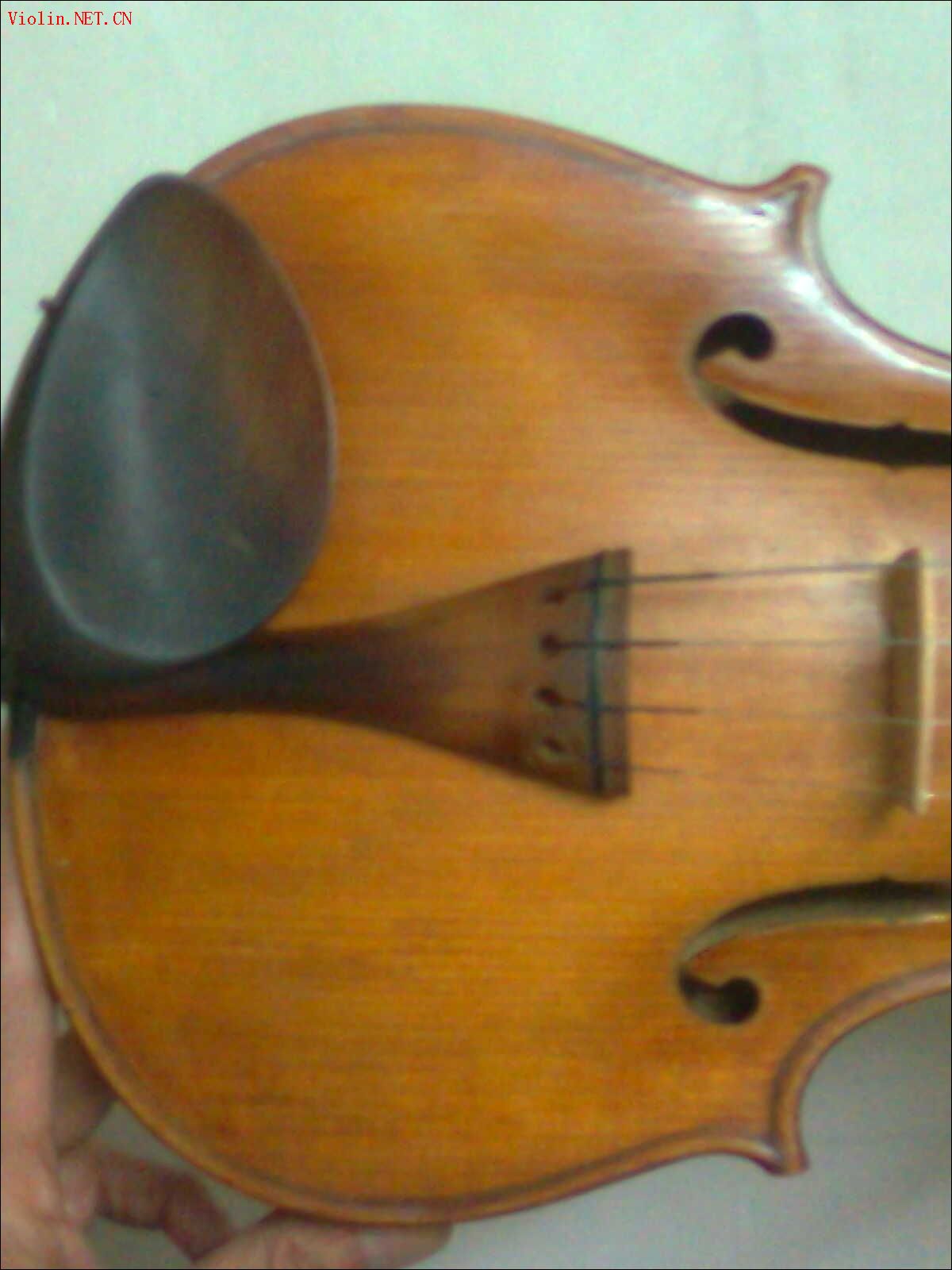2009-4/200942917356923.jpg
