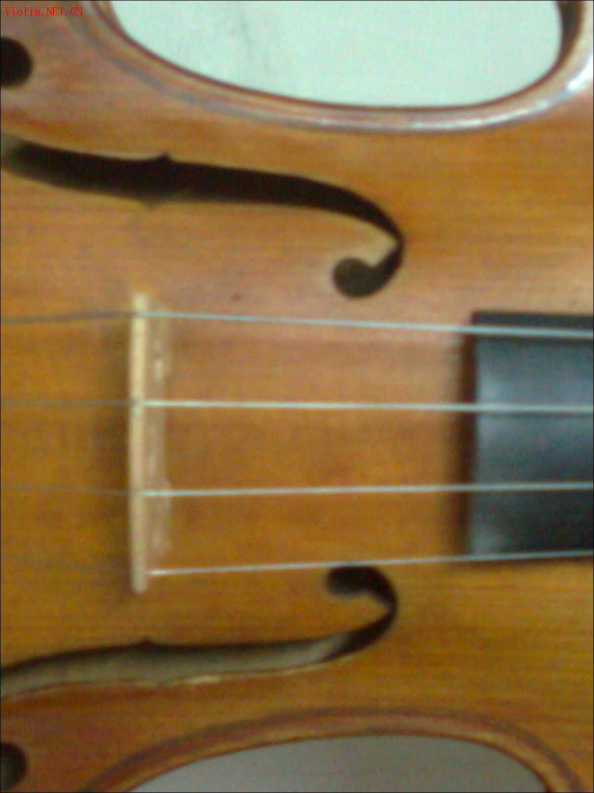 2009-4/200942917423825.jpg