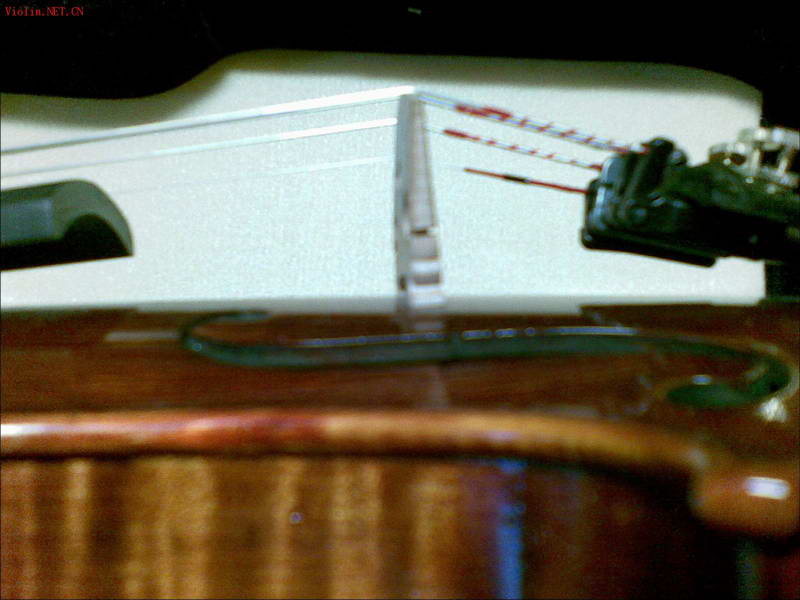 2009-6/20096516281423.jpg