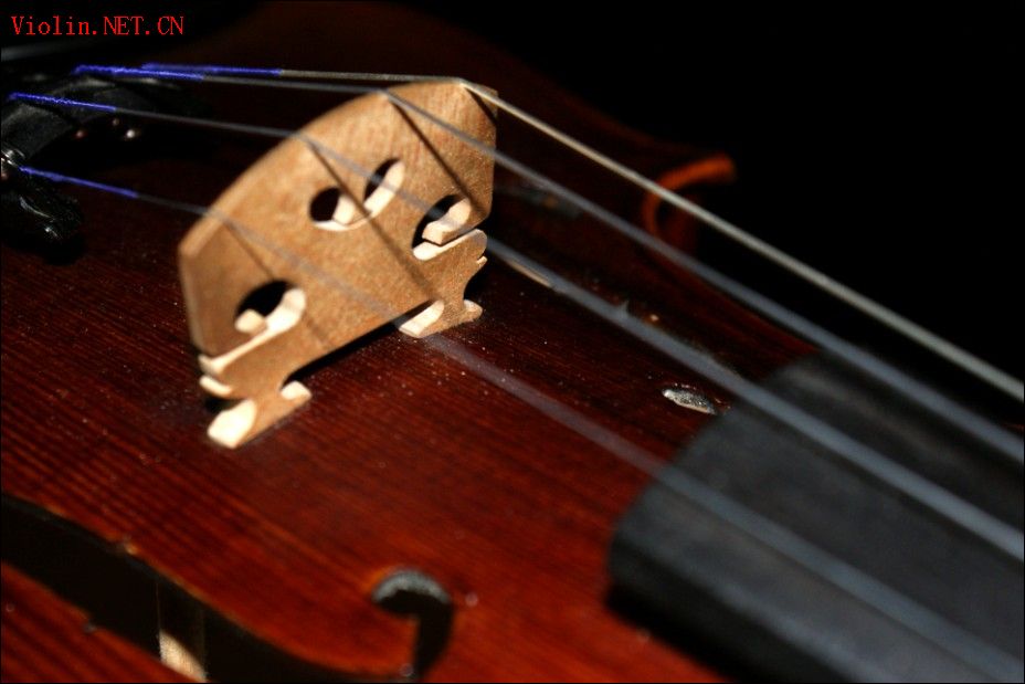2009-7/200972521754513.jpg