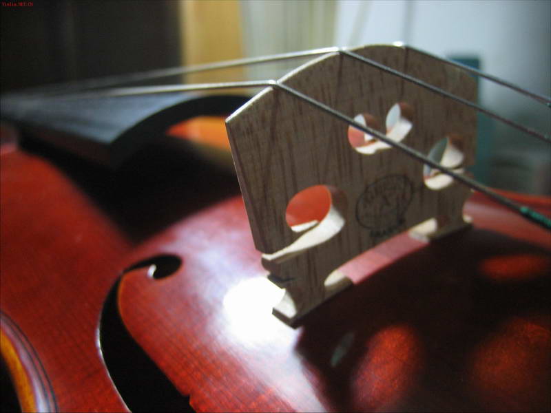2009-8/200982122239105.jpg
