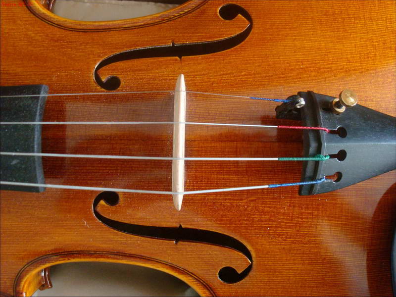 2009-8/200988142417808.jpg