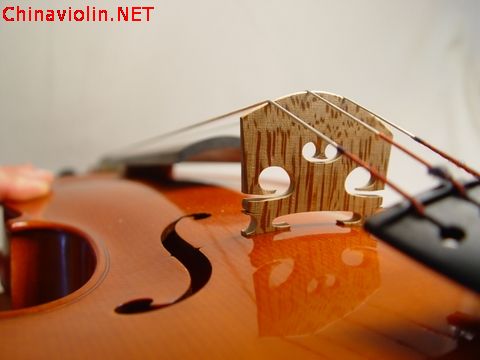 dsc02470.jpg