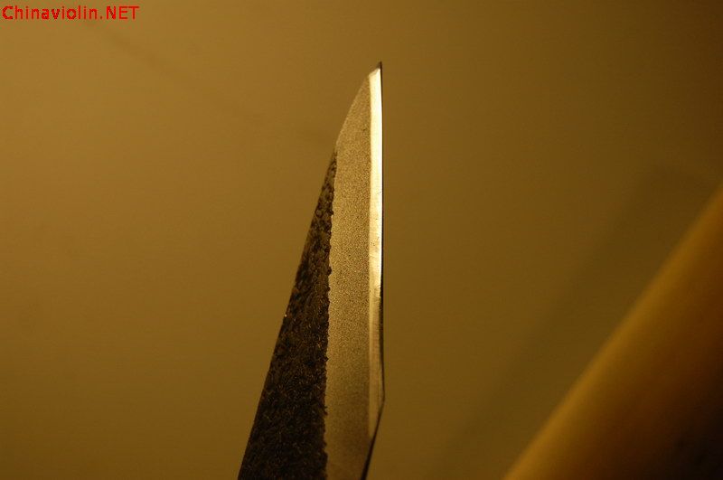 dsc_7325.jpg