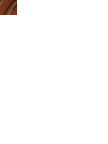 20101030029.gif