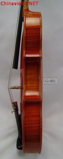 pa250057.jpg
