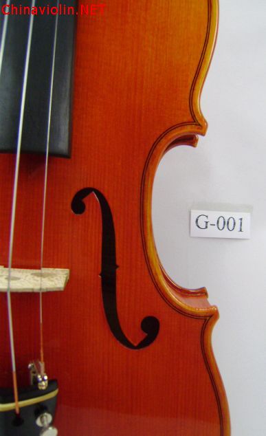 pa250055.jpg