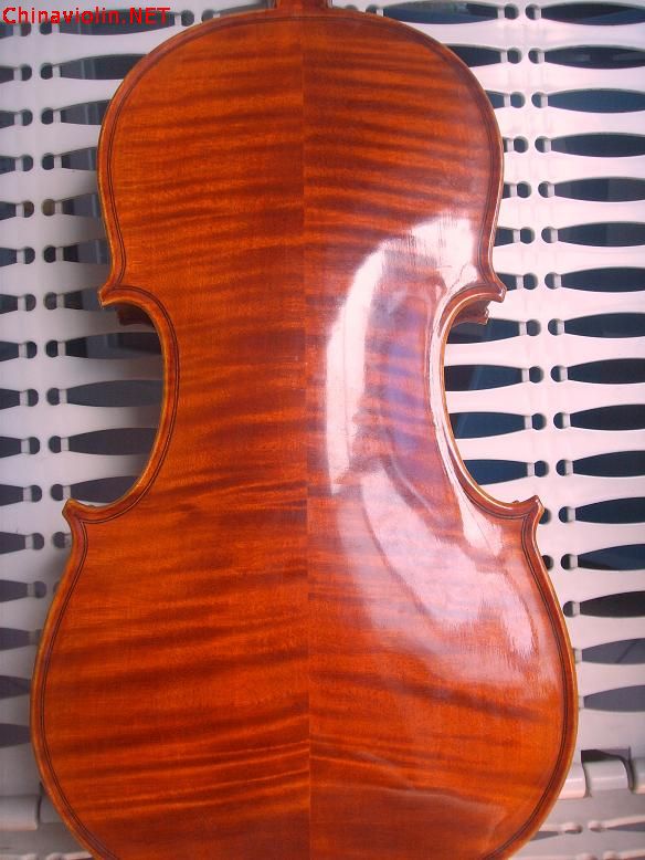 ssl16904.jpg