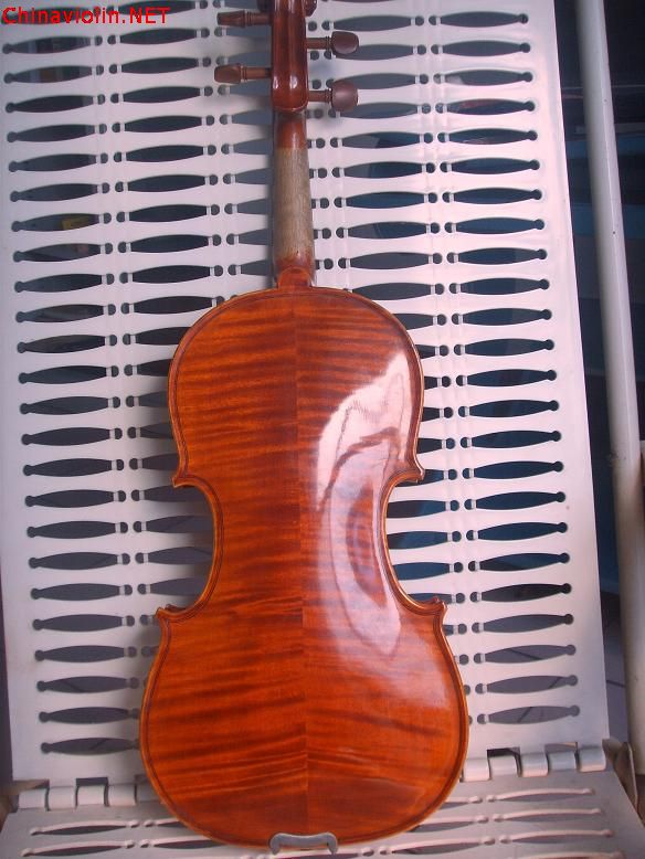 ssl16903.jpg