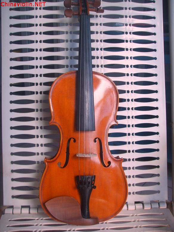 ssl16901.jpg