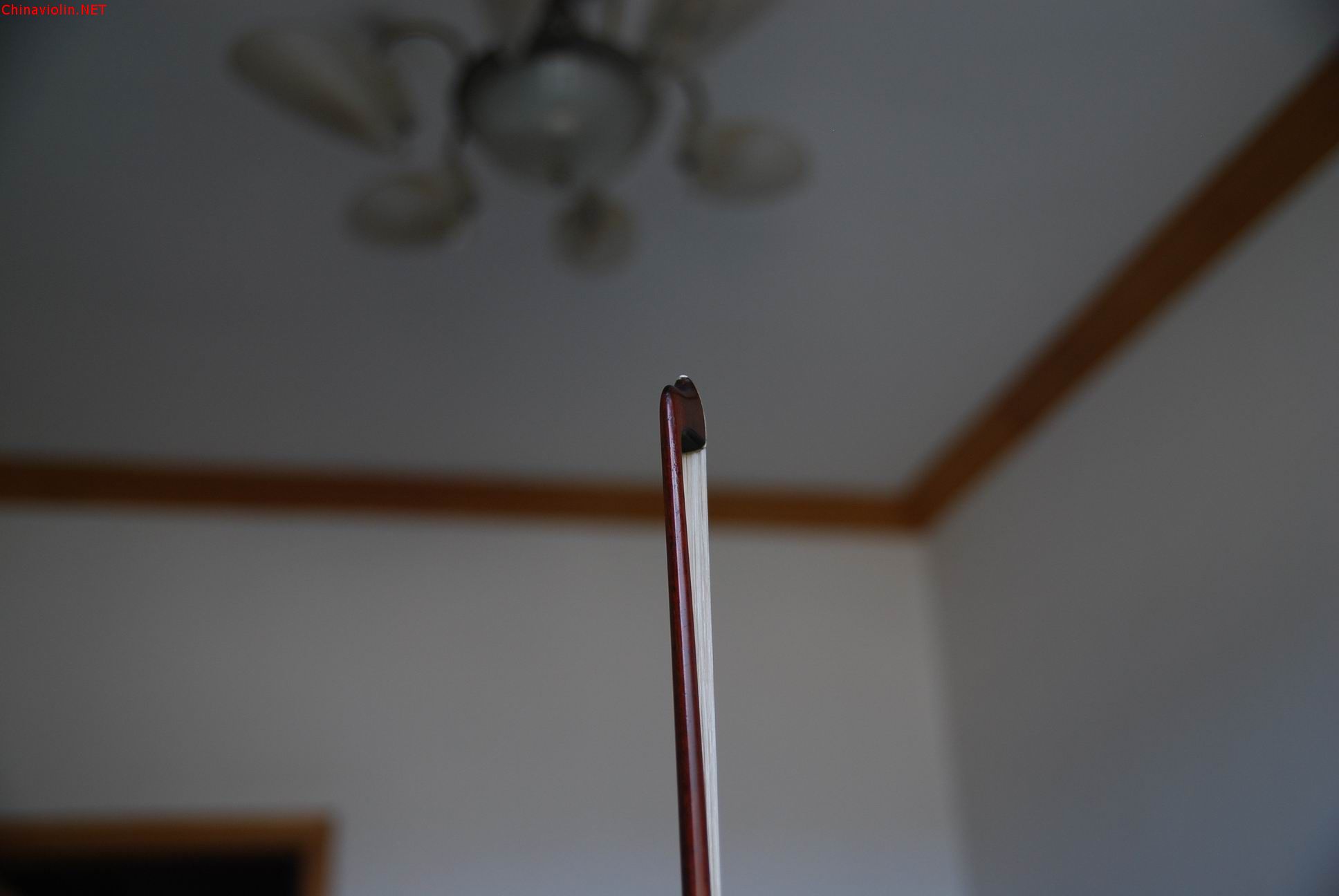 调整大小 dsc_0027.jpg