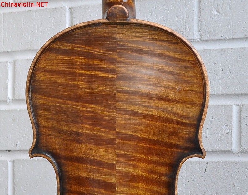 复件 (2) v0948b1.jpg