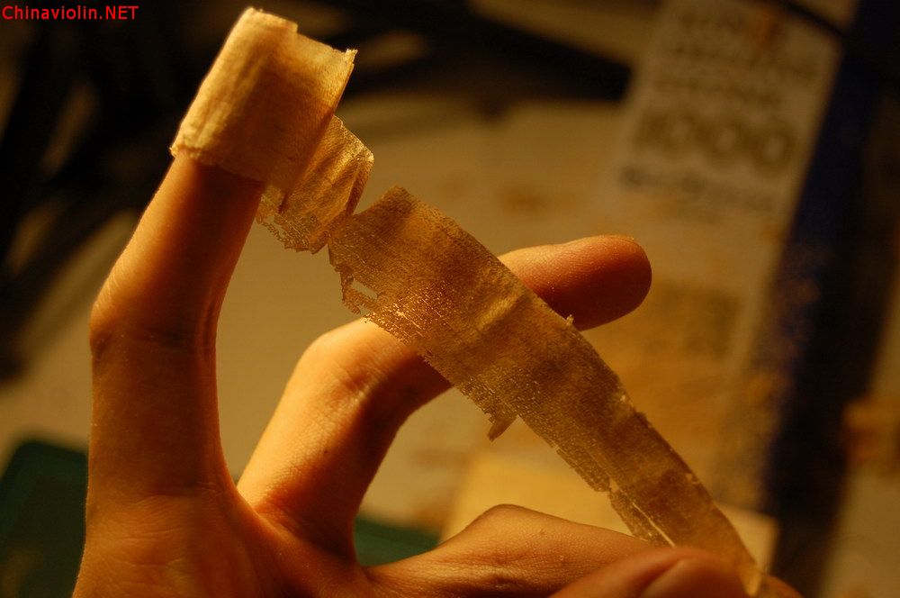 dsc_7860.jpg
