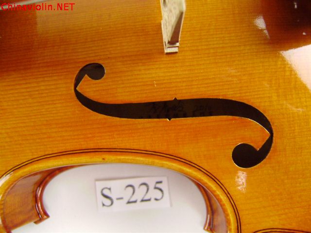 pa270051.jpg
