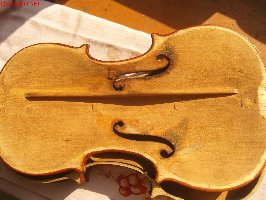 snv86348.jpg