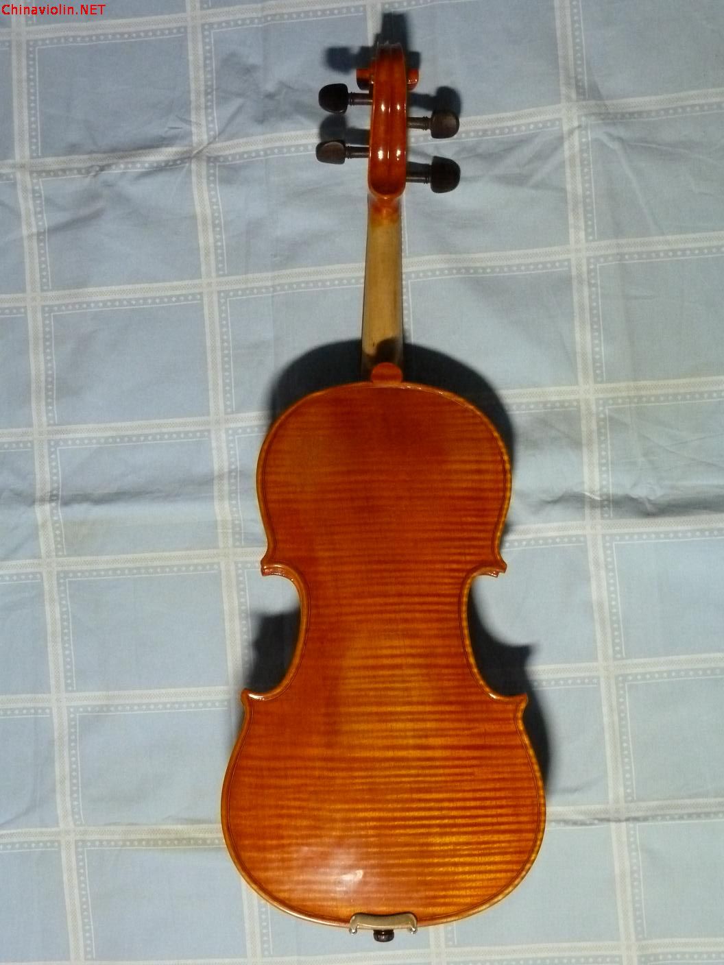 p1000085.jpg