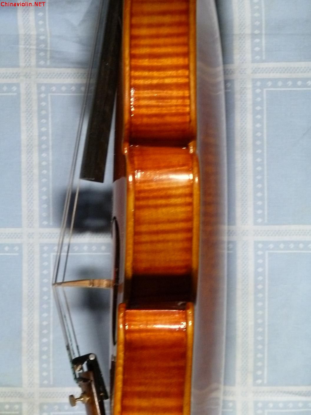p1000083.jpg